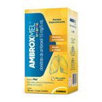 ambroxmel-xarope-infantil-120ml