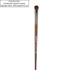 pincel-sombra-com-10-unidades-re1507116