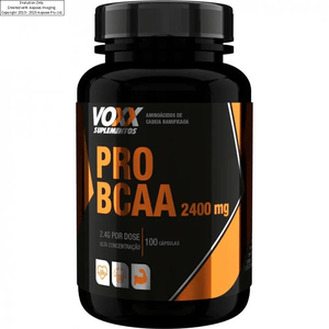 Voxx Pro Bcaa 2400Mg com 100 comprimidos