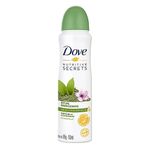 desodorante-aerossol-dove-ritual-energia-matcha-flor-sakura-150ml