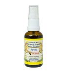 spray-nacao-natural-propolis-gengibre-30ml