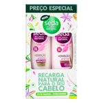 kit-seda-recarga-natural-hidratacao-antinos-shampoocondicionador-325ml