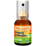 melagriao-propolis-e-gengibre-sabor-limao-spray-30ml
