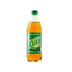 refrigerante-kuat-600ml