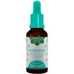 floral-therapi-lembramais-30ml