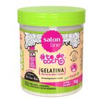 gelatina-salon-line-todecacho-super-definicao-1k