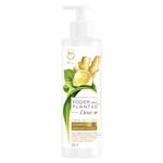 shampoo-dove-poder-das-plantas-purificacaogengibre-300ml