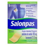 salonpas-pain-relief-patch-105315mg-c5-ades